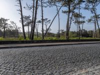 Coastal Road in Porto, Portugal: Cobblestone Pathways