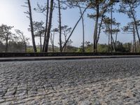 Coastal Road in Porto, Portugal: Cobblestone Pathways