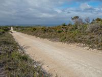 a dirt road near some grass and bushes along the beach, with a lighthouse on the horizon