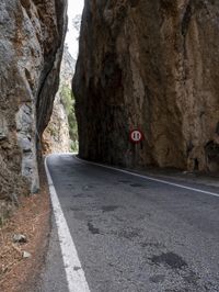 an open, empty mountain road lined by large rocky cliffs with tall trees on either side