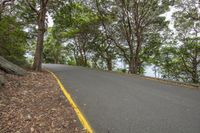 the road curves and follows along some trees overhangs, with the water in the background