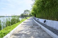 Coastal Road in Thailand: Clear Sky and Ocean View