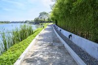 Coastal Road in Thailand: Clear Sky and Ocean View