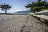 a street and a ocean with trees on the side of it and rocks near by