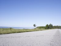 Coastal Road in USA with Trees and Grass
