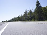 Coastal Road Through USA with Trees and Grass