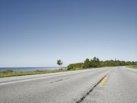 Coastal Road in USA with Trees and Grass