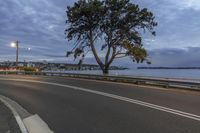 a lone tree sitting by the water on a roadway during dusk, on a cloudy day