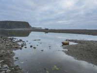 Coastal Rock Beach: A Tranquil Lake and Water Resources