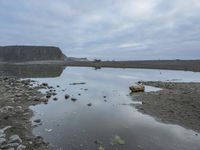 Coastal Rock Beach: A Tranquil Lake and Water Resources