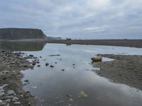 Coastal Rock Beach: A Tranquil Lake and Water Resources