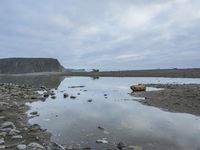 Coastal Rock Beach: A Tranquil Lake and Water Resources