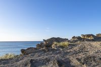 a lone person is walking near some rocks by the ocean on a sunny day while sitting on an orange bench