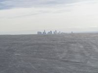 Coastal Sand Beach and Ocean Landscape