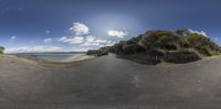 a picture of a beach with trees in the background and some water on the other side