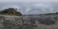 a sandy beach with a big piece of drift in the water at low tide with some trees and small islands in the background