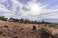 a scenic landscape of red cliffs and sparse grass in desert area with rocks and bushes