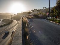 a beach side road with cars driving on it with a bright sun in the background