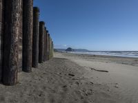 a line of old wooden posts along a sandy beach shoreline to sea water and mountains in the distance