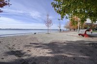 the sidewalk has stones on it near the water of the lake with trees and benches along it