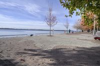 the sidewalk has stones on it near the water of the lake with trees and benches along it