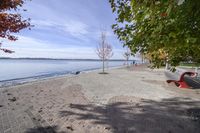 the sidewalk has stones on it near the water of the lake with trees and benches along it