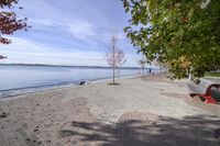 the sidewalk has stones on it near the water of the lake with trees and benches along it