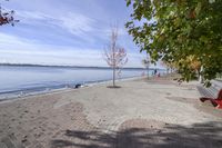 the sidewalk has stones on it near the water of the lake with trees and benches along it