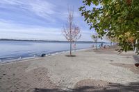 the sidewalk has stones on it near the water of the lake with trees and benches along it