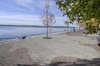 the sidewalk has stones on it near the water of the lake with trees and benches along it