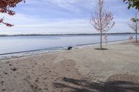 the sidewalk has stones on it near the water of the lake with trees and benches along it