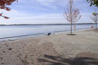 the sidewalk has stones on it near the water of the lake with trees and benches along it