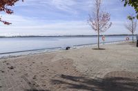 the sidewalk has stones on it near the water of the lake with trees and benches along it