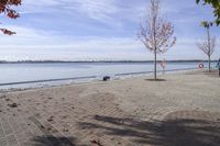 the sidewalk has stones on it near the water of the lake with trees and benches along it