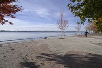 the sidewalk has stones on it near the water of the lake with trees and benches along it