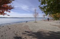 the sidewalk has stones on it near the water of the lake with trees and benches along it