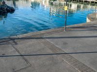 a body of water that has a concrete surface on the ground and some buildings in the background