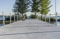 a wooden walkway with railings near the water's edge in a wooded area