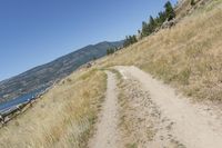 the trail winds through the dry grasses towards the water and mountains in the distance to the right