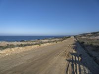 a dirt road lined with dry grass, and the ocean in the distance in the background