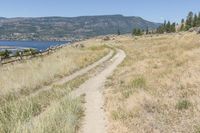 Coastal Wilderness in British Columbia, Canada