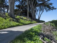 Coastal Wilderness in California