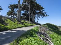 Coastal Wilderness in California