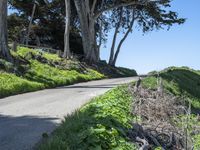 Coastal Wilderness in California