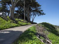 Coastal Wilderness in California