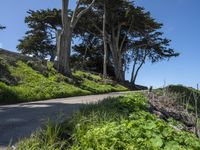 Coastal Wilderness in California