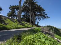 Coastal Wilderness in California