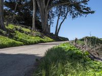 Coastal Wilderness in California