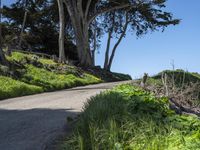 Coastal Wilderness in California