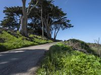 Coastal Wilderness in California